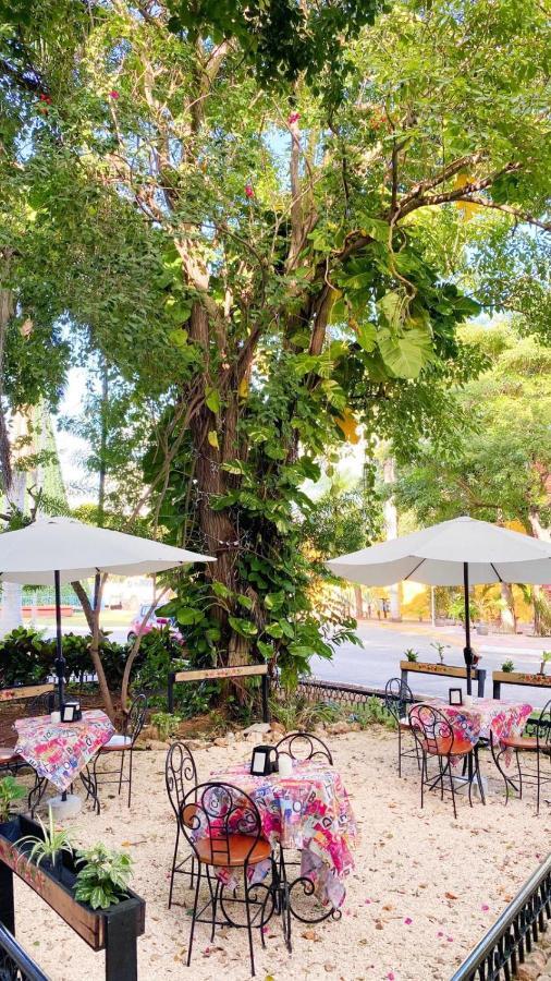Luna Nueva Hotel-Boutique Mérida Eksteriør bilde