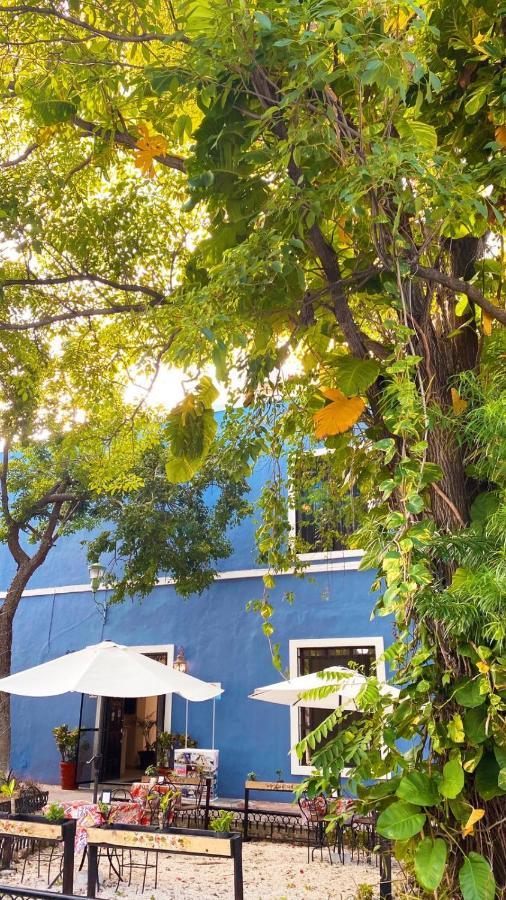Luna Nueva Hotel-Boutique Mérida Eksteriør bilde